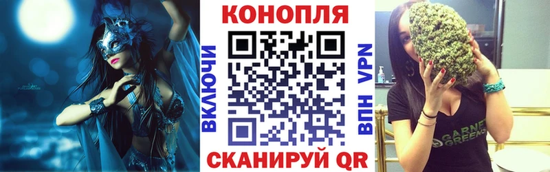 что такое   Шлиссельбург  блэк спрут онион  Бошки Шишки THC 21% 